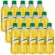 Concordia Piña 355 ml x 15 und