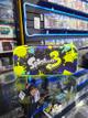 FORRO SWITCH GN SPLANTON (2)