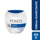 Alice Pons Crema Nutritiva Azul x 50 GR