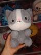 Gato económico