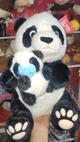 Oso panda hijo