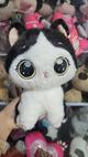 Gato ojon