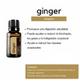 D. Aceite de Jengibre 15ml