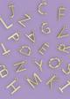 Collar Letras Perlas C,G,H,O,R,S,Y
