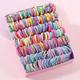 Set de Colitas Colores Pastel
