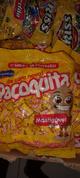 BALA MASTIGAVEL PAÇOQUITA 500G