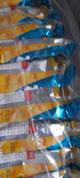 SALG FEST REQUEIJÃO 30G / 10 UN