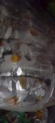 SALG PICANHA OK 28G 10 UN