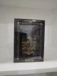 Lattafa OUD FOR GLORY 100ML PARFUM
