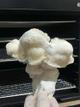 Nut Cracker 1g