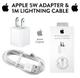Cargador completo iPhone 5w lighting