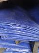 Carpa Corquilin (G) 4x5 (F)