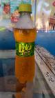 Link 12 Oz pet