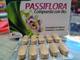 PASIFLORA
