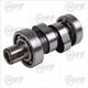 Arbol levas pulsar ns 200/as200