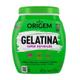 Gelatina Origem Super Definição 400g