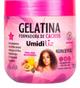 Gelatina UmidiLiz Maxima Definição 500g