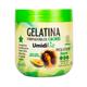 Gelatina UmidiLiz Mega Volume 500g