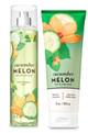 BD-00009 Cucumber melon