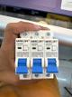 PIN DE CORTE  1X50AMP MERCURY