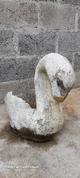 Sisne de concreto 30 x 55 x 65 x