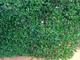 Pasto artificial tipo trebol pared