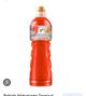 Gatorade de 750ml