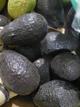 Aguacate
