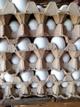 Huevos