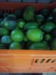 Limón