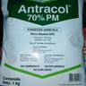 Miniatura 1 de Antracol