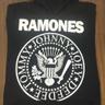 Miniatura 1 de Buzo Ramones