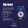 Miniatura 2 de Anillo hermes