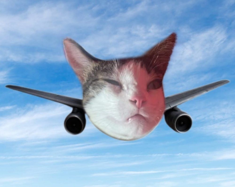 Lilo en un avion