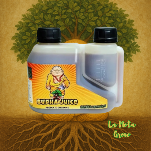 Azteka Budha Juice 250ML