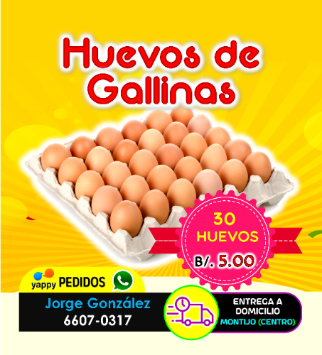 PACK DE 30 HUEVOS DE GALLINA