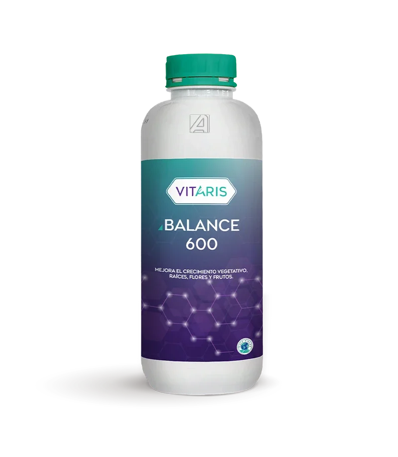 BALANCE 600 X LT