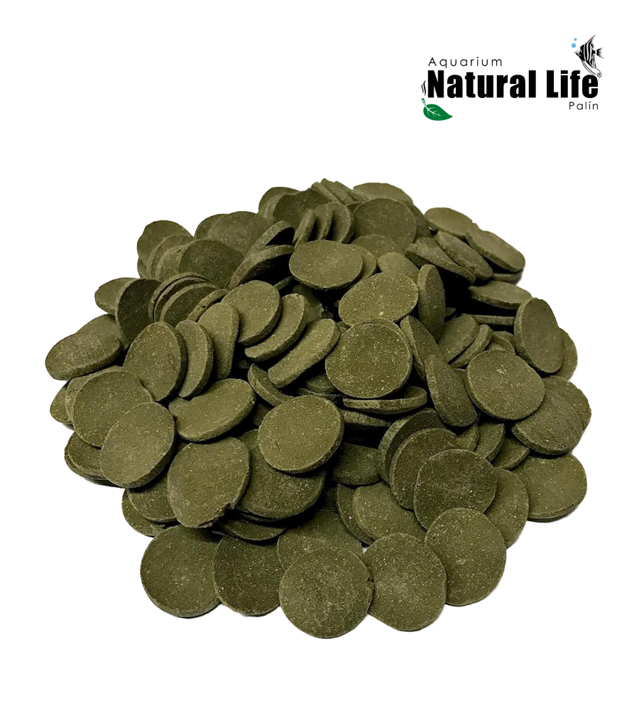 Algae Wafers Vasito SUNNY. | SFF-13-1OZ.
