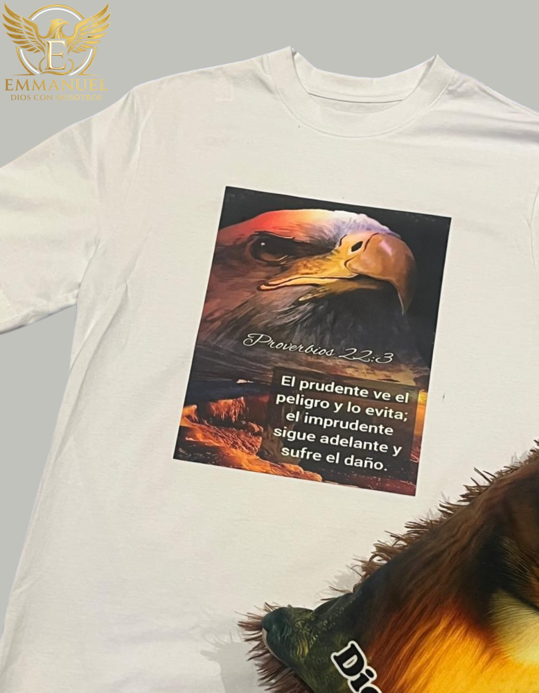 Camiseta Mujer Tipo Oversize
