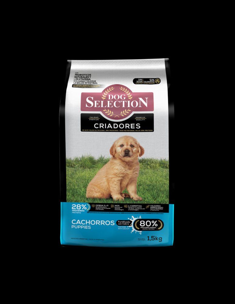 Dog Seleccion cachorro 21KG