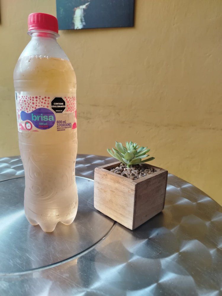 AGUA SABORIZADA 600 ML