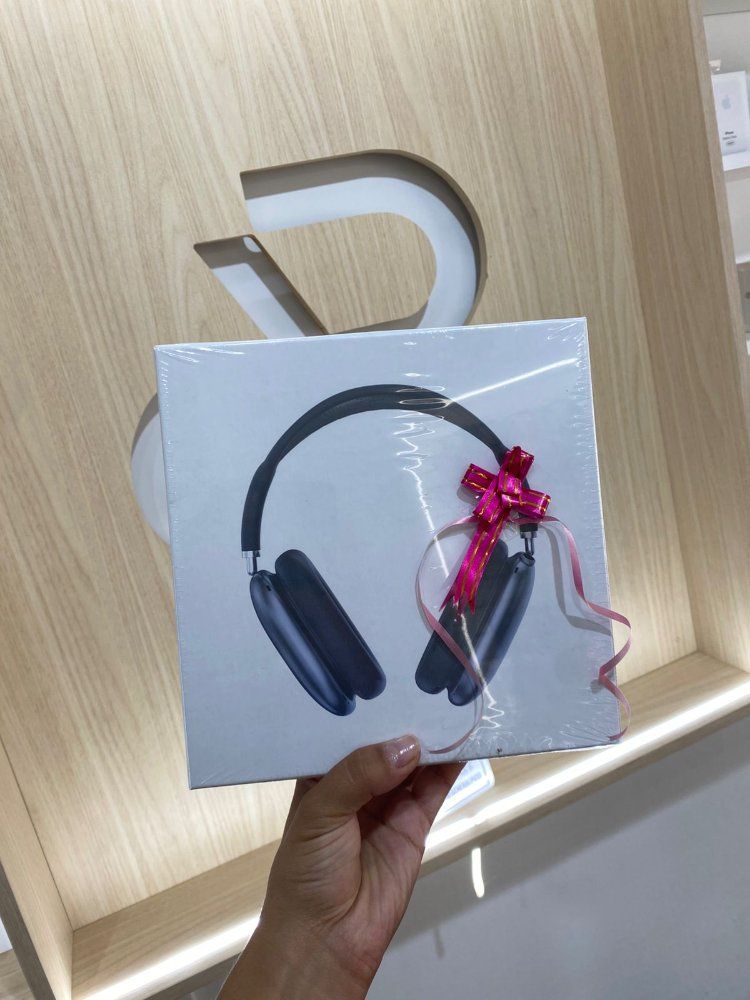 Air pods max