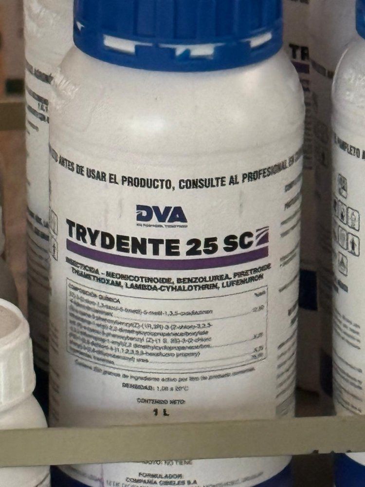 TRIDENTE 5LT