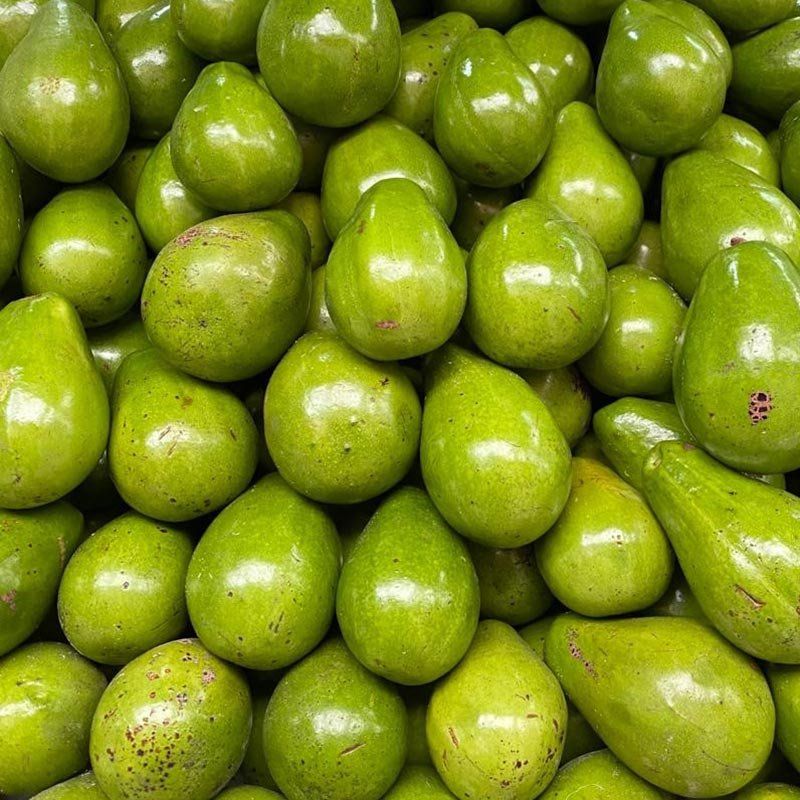 AGUACATE PAPELILLO