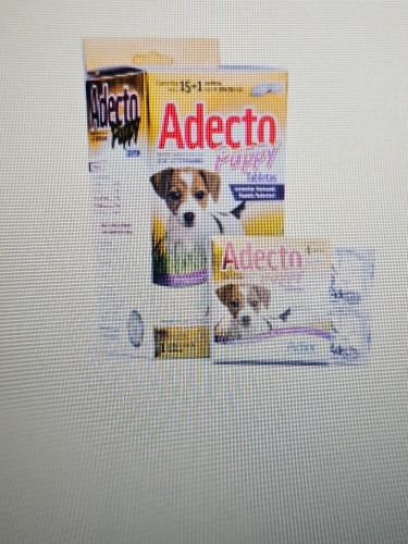 Adecto puppy 10 ml