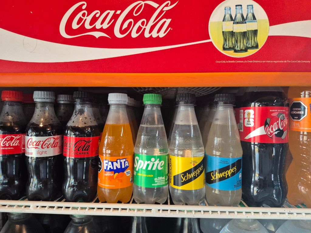 Bebidas 600ml