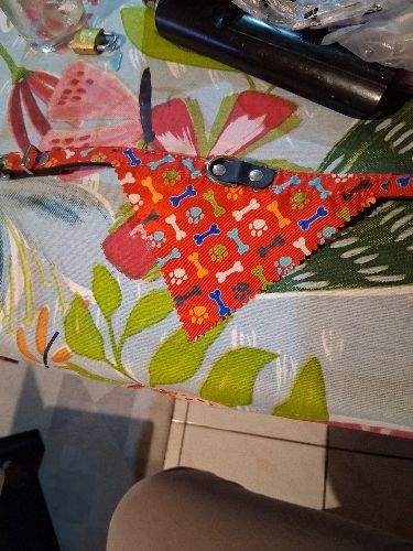 Bandana perro M