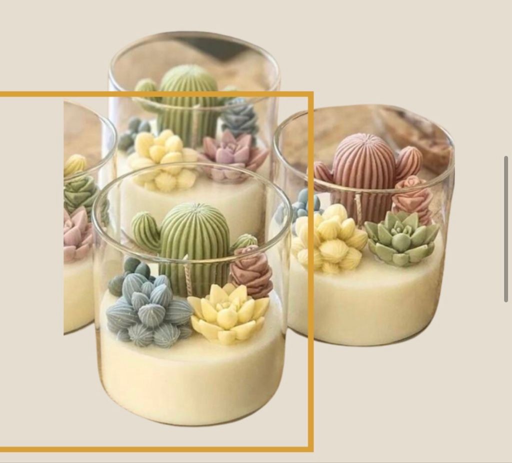 Terrario de cactus