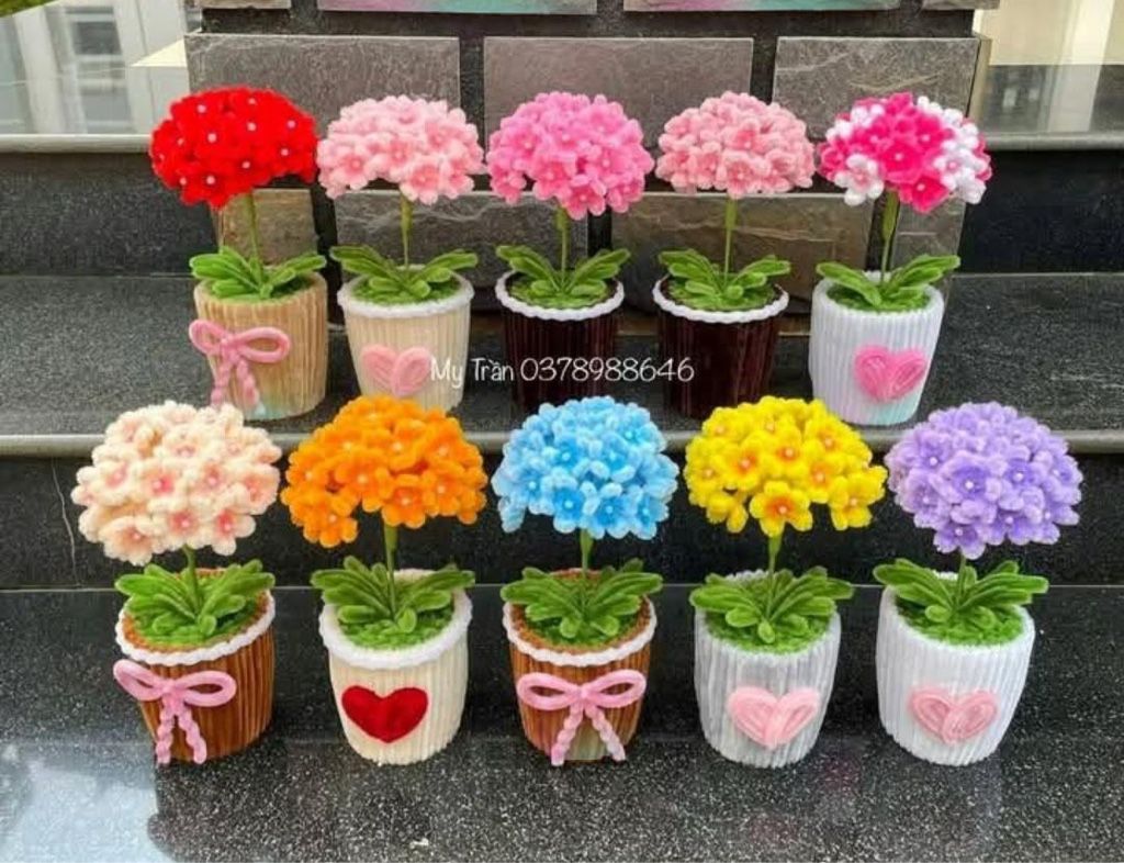 Margaritas 🌼 colores