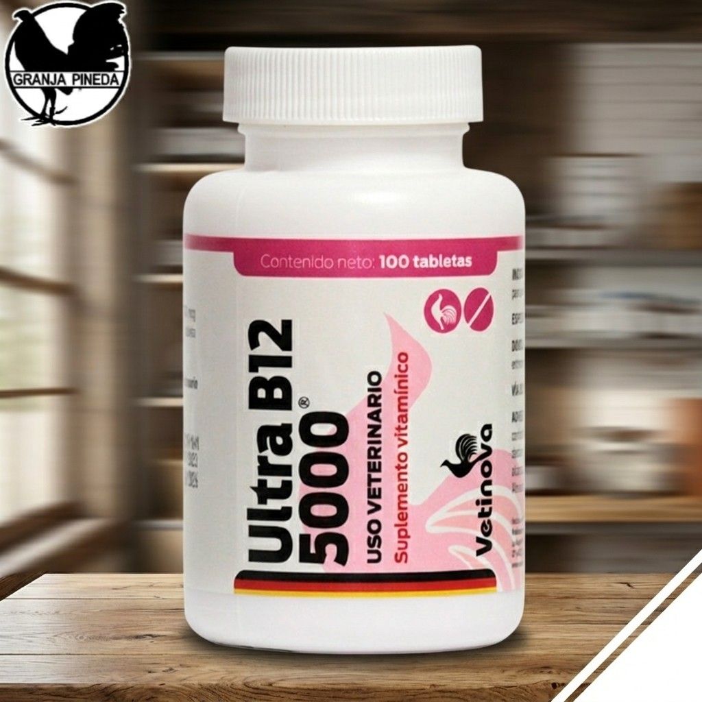 Ultra B12 5,000 100 tabs